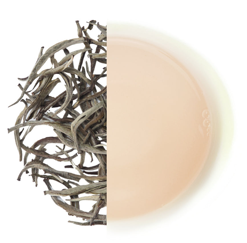 Glenburn Darjeeling Silver Needle – White Tea